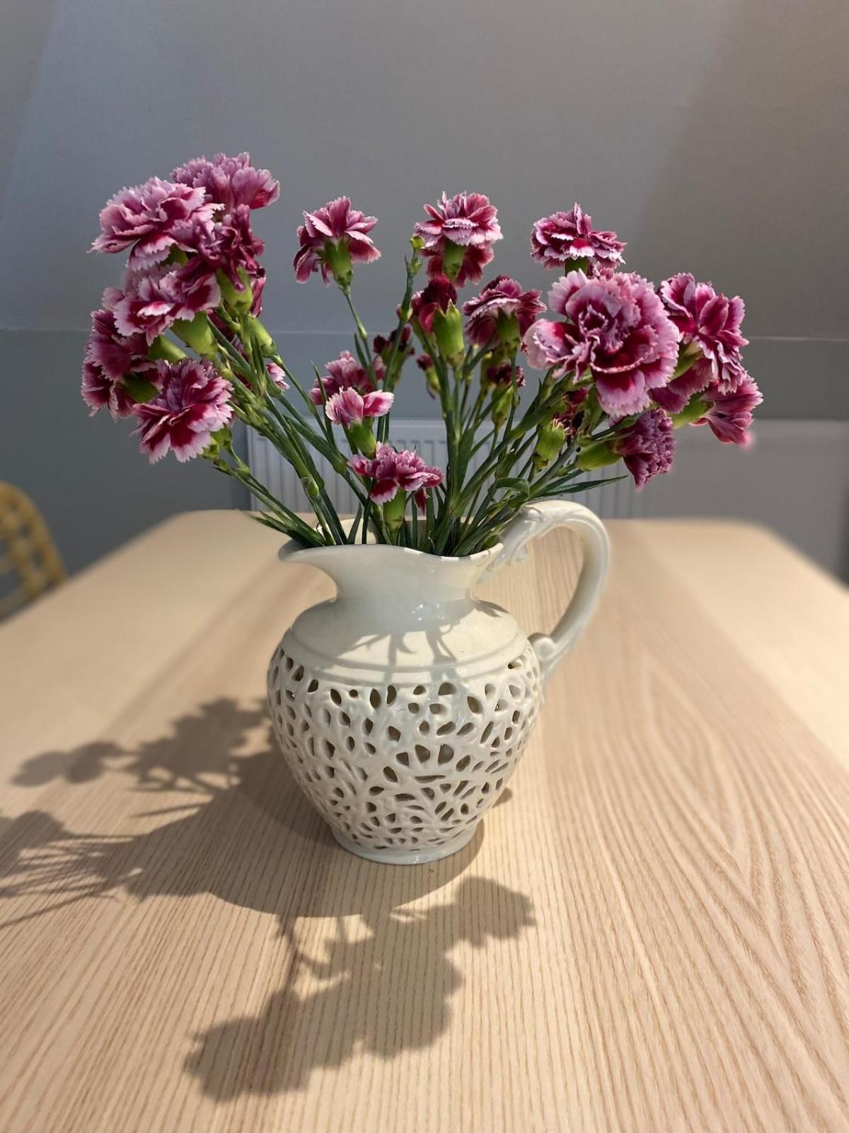 Primrose In Maldon